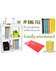 File còng nhẫn PP A4S 2.5cm KingJim 612 GSV